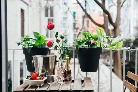 Flores Home Барі Екстер'єр фото